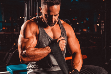 Layne Norton Training Tips