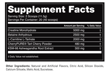 Outwork Recovery Supplement Facts