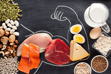 High-Protein Diets and Kidney Health - Outwork Nutrition
