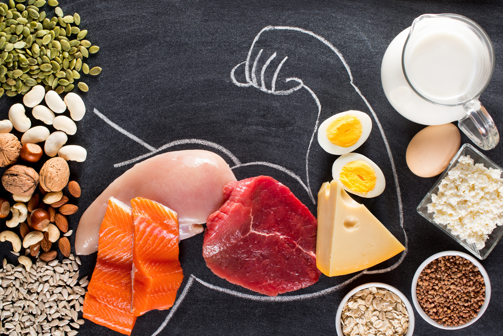 HighProtein Diets and Kidney Health Outwork Nutrition