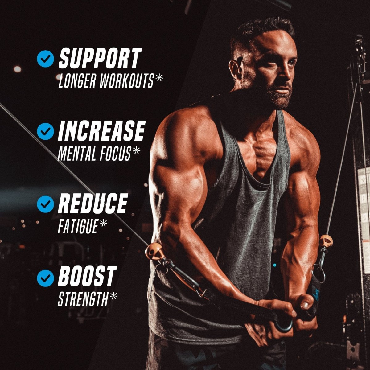 Layne Norton Pre-Workout Caffeine-Free