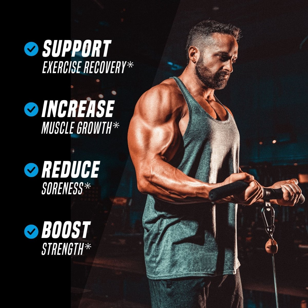 nutrabio acetyl l-carnitine NutraBio Acetyl L-Carnitine 500mg - Boost Energy & Metabolism 90 Capsules - Premium Health Supplement | Buy Now with Express International Delivery